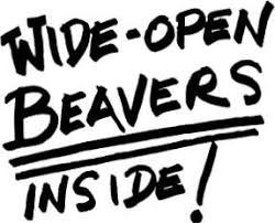 wide-open-beavers